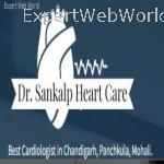 Best Cardiologist in Mohali, Chandigarh